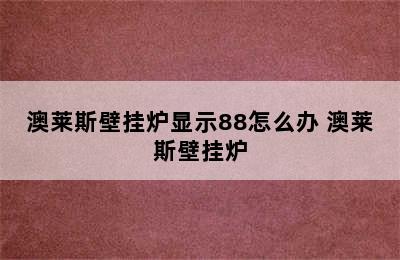 澳莱斯壁挂炉显示88怎么办 澳莱斯壁挂炉